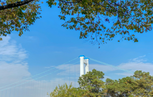 ����˾���֧�����딵�����t�����Ϻ����ˆ�