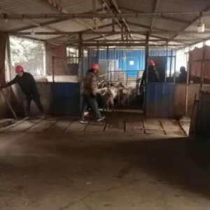 Ⱥ���e�󣡽��ĳ���B�@���к�����