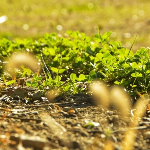 APP�W(w��ng)�ѷ���Ȧ�S�� ��ɽ���紺����