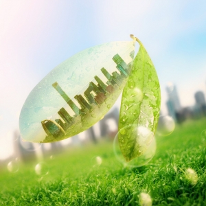 �������՚�������՚��|����������