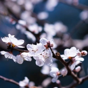 �W(w��ng)���S�ĳ��������������_�ô�������