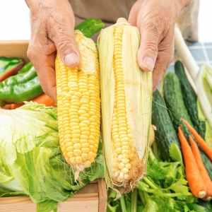 �ع⣡���ʳƷ��z�����ήa(ch��n)Ʒ���ϸ�