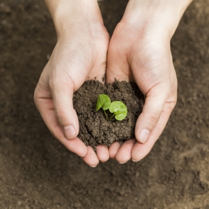 ֲ�九(ji��)���� �@Щ���(d��ng)����텢�ӣ�