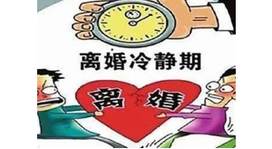 �x�����o���������x�����������o�˼ұ������e���@Щ�`�⮔��