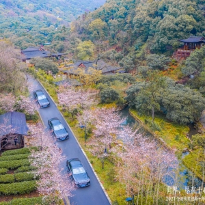 ���磬�M�����ģ�ȫ��÷ِ��˹-���YS��(j��)�I܇(ch��) �ɾ������I(l��ng)���L(f��ng)��