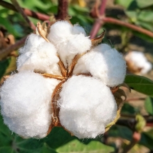 �¼ܣ�H&M�ؑ���ָ���ؾ��p ߀���Ϳˡ����졭��