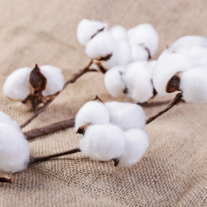 ��ꎼ�����Iԭ�ϲ�ُ ���x�½���