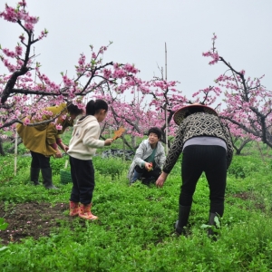 ������ի@���p�һ� ���j��