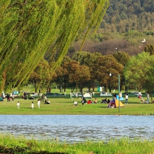 �⾰������y��һ��� ���´��L�Ƽ���