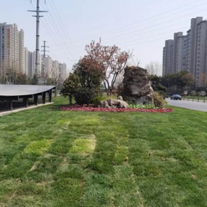 ܽ�ش�����ٻ����� ���׾G��ȫ���깤��