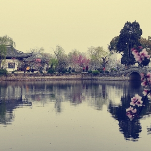 APP�W�ѷ����������r���@̤���p��