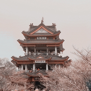 �W���x�^�֮�У�����һ���p�Ѽ�