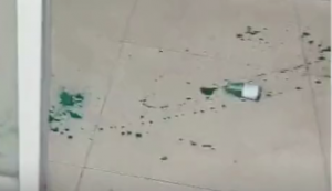 ؛܇˾�C���P��2000Ԫ������Ԛ�