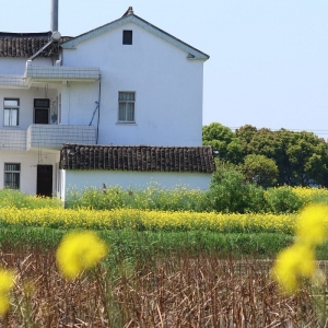 ����ɽ�L(f��ng)�⣺���;������׉����ߵ����r(n��ng)��