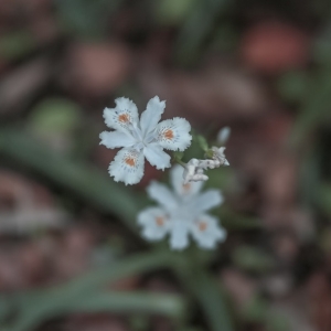 �W(w��ng)�ѷ���Ȧ�S�ģ��������С����