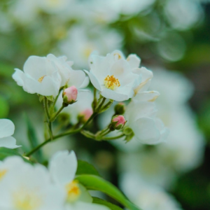 �W�ѷ����������е����� ��Ҫ���İl�F