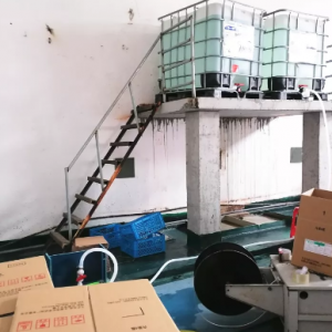 ���2����I(y��)��̎�P��