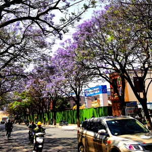 �W(w��ng)�t�{(l��n)��麴���򿨣������ĺ�ȥ̎