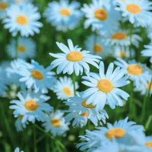 �����S�ģ�ÿ��С�r�Ճ�(n��i)�Ķ�����һ����