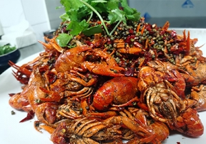 �W(w��ng)�ѷ��� ��ʳ������������