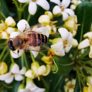 APP�W(w��ng)�ь�(sh��)�� ̤�࿴����С�۷�