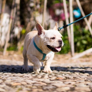 �޹������K�����Ҫ�Є������ˣ�