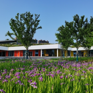 �W(w��ng)�Ѽ����S�� �²��@���ģ�