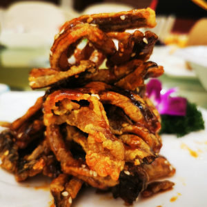 �W(w��ng)���S���ģ�������� ����ǝ�(j��)������