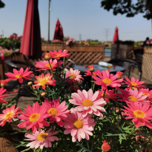 �W(w��ng)�ѷ���Ȧ�S�ģ���������������