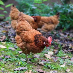 �@���o�a�Ѕ^������ֹ����ꎸ�����Ҫ�_������