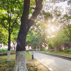 �W(w��ng)���S�ģ��L(f��ng)ů���g��ľ�� һ�{��\���ā�