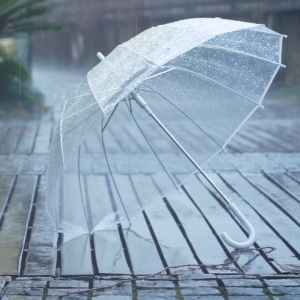 ����+���ؽ�10�棡�����⼴�����D(zhu��n)