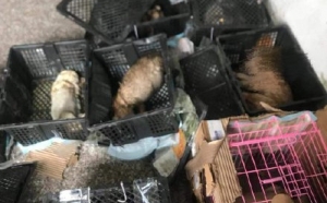 ���Kͨ����ä���¼����M���o�a��ͨ�P��3�f