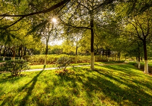 �������Z���zӰ��ِح�F��t�� �͵������