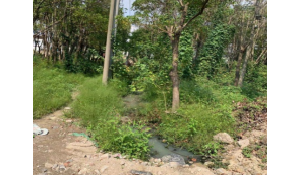 ���ֳ��˳�ˮ������߅����ԓզ�k��