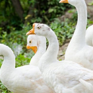 ʡ���أ����ڲ�Ҫُ�I����