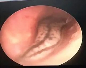 �@�������Ů�Ӷ������@�M�������x��