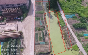 ��ꎶ�����˺ڰ�����Ҹ�������