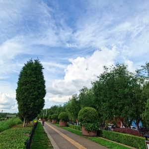 �W�ѷ�������������� ������ش��