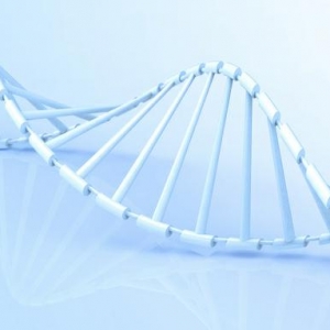 ��ꎹ���6̎DNAѪ�Ӳɼ��c(di��n) ����8��(g��)��ͥ��(sh��)�F(xi��n)�F(tu��n)�A��(m��ng)