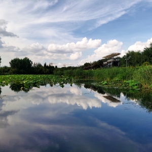 ��^�W�����ģ�������ش��