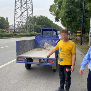 ɶ��r��������ӟo�C���� ���ѾȈ��Y���p�p��ץ����