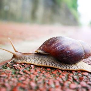 ע���ˣ������F�Ĵ�΁ţǧ�f�e��