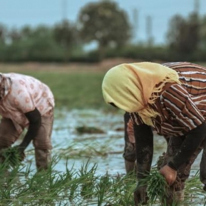 һ�����a�N�Y��200�|Ԫ������@Щ������