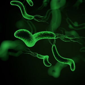 �ϟ����ˣ��@������ �҇�һ���˸�Ⱦ