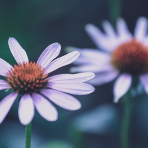 �W�����������S�ģ����Mʢ�����g����