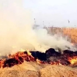 �����¶��ٟ���������Є����_����