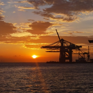 ʢ�ĵ��������� ��������