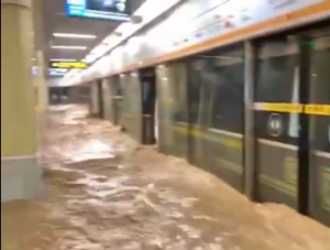 ����������Ҋ���� �����12��������