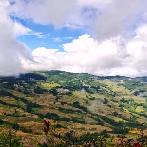 ��^�W�����{�Σ�����Ԫ��������ɽ�F��